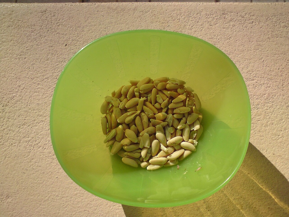 Pinienkerne aus Bkassine